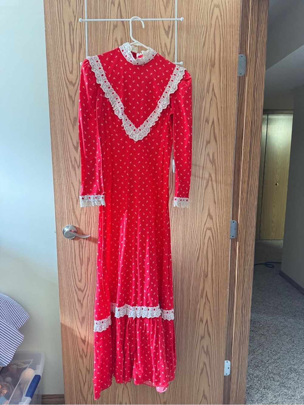 Vintage 70s Red Floral Prairie Maxi Dress Eyelet Lace Cottagecore